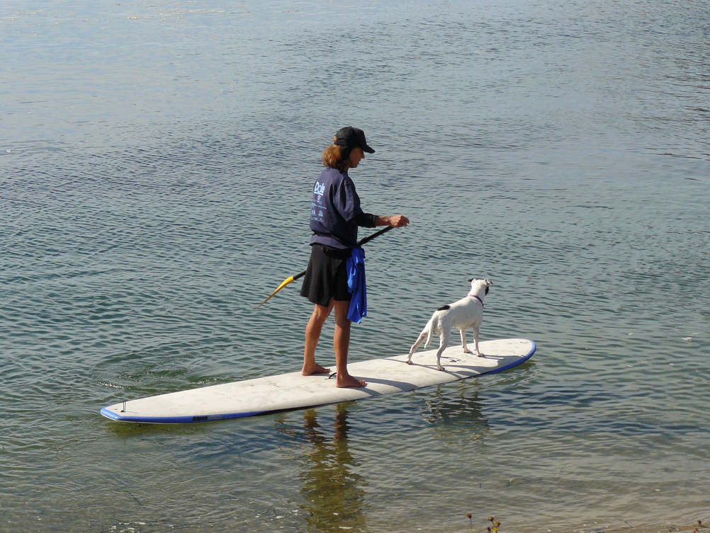 Stand up paddleboarding