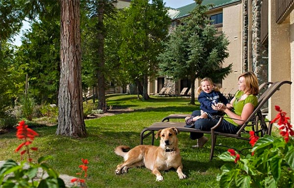 Tenaya Lodge Deluxe Pampered Pet Package