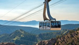 A vibrant dog park bathed in sunlight features abundant greenery with mature trees, offering ample shade for leisurely outdoor activities. In the distance is a well-equipped playground that presents an additional activity area. An inviting picnic table spreads out nearby, ideal for enjoying meals al fresco or taking relaxing breaks from play. A neatly-placed trash bin aids in maintaining the park's cleanliness for everyone's enjoyment. Dominating the scene is a generously wide dirt path gracefully curving through the expanse of grass, promising exploratory walks and lively fetch games.