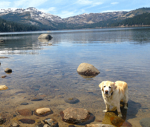 Maya playing in the water