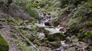 A vibrant dog park bathed in sunlight features abundant greenery with mature trees, offering ample shade for leisurely outdoor activities. In the distance is a well-equipped playground that presents an additional activity area. An inviting picnic table spreads out nearby, ideal for enjoying meals al fresco or taking relaxing breaks from play. A neatly-placed trash bin aids in maintaining the park's cleanliness for everyone's enjoyment. Dominating the scene is a generously wide dirt path gracefully curving through the expanse of grass, promising exploratory walks and lively fetch games.