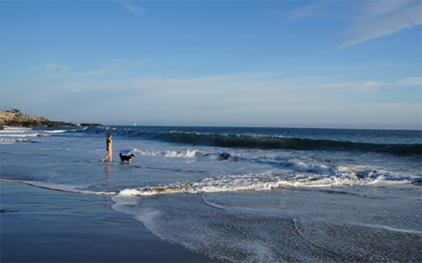 Aerial view of Santa Cruz beach