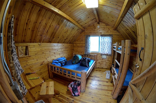 A vibrant dog park bathed in sunlight features abundant greenery with mature trees, offering ample shade for leisurely outdoor activities. In the distance is a well-equipped playground that presents an additional activity area. An inviting picnic table spreads out nearby, ideal for enjoying meals al fresco or taking relaxing breaks from play. A neatly-placed trash bin aids in maintaining the park's cleanliness for everyone's enjoyment. Dominating the scene is a generously wide dirt path gracefully curving through the expanse of grass, promising exploratory walks and lively fetch games.