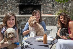 A vibrant dog park bathed in sunlight features abundant greenery with mature trees, offering ample shade for leisurely outdoor activities. In the distance is a well-equipped playground that presents an additional activity area. An inviting picnic table spreads out nearby, ideal for enjoying meals al fresco or taking relaxing breaks from play. A neatly-placed trash bin aids in maintaining the park's cleanliness for everyone's enjoyment. Dominating the scene is a generously wide dirt path gracefully curving through the expanse of grass, promising exploratory walks and lively fetch games.