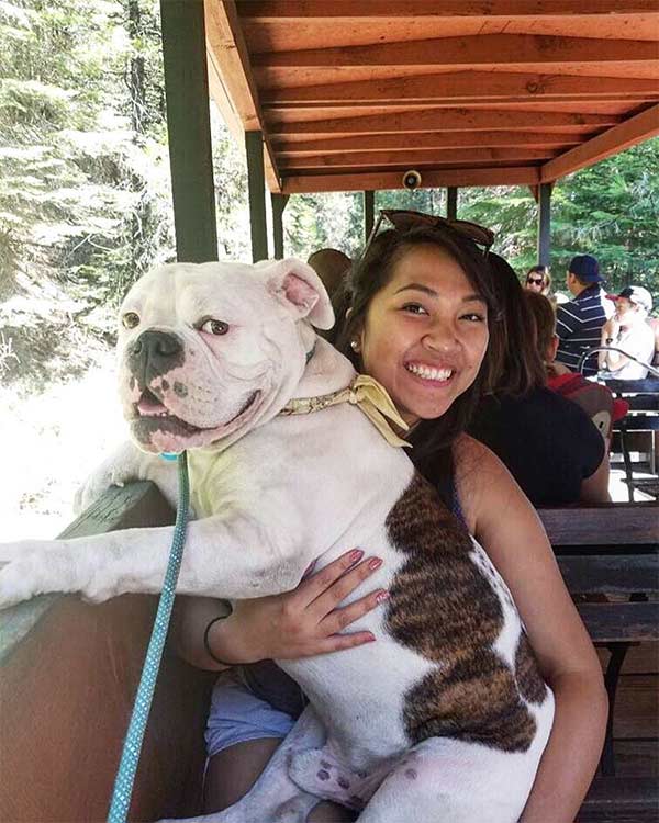 Dog and person at the Madera County south entrance to Yosemite