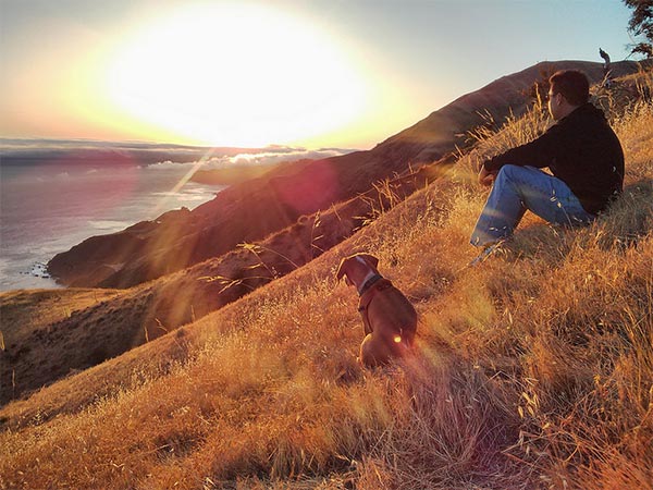 Dog on mountain at Big Sur