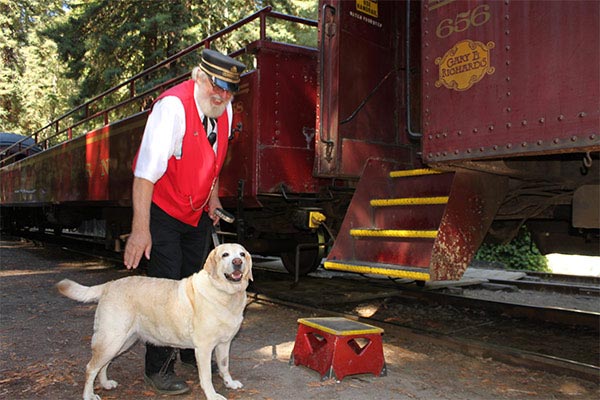 All aboard (dogs, too)!