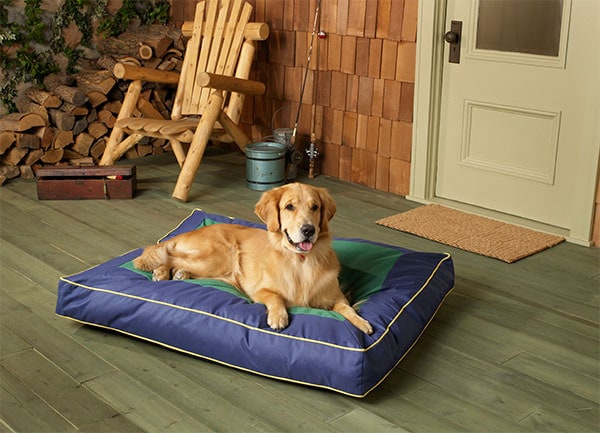 Dog on dog bed at Shasta Cascade Cabin Resorts