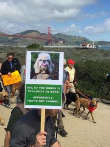 A vibrant dog park bathed in sunlight features abundant greenery with mature trees, offering ample shade for leisurely outdoor activities. In the distance is a well-equipped playground that presents an additional activity area. An inviting picnic table spreads out nearby, ideal for enjoying meals al fresco or taking relaxing breaks from play. A neatly-placed trash bin aids in maintaining the park's cleanliness for everyone's enjoyment. Dominating the scene is a generously wide dirt path gracefully curving through the expanse of grass, promising exploratory walks and lively fetch games.