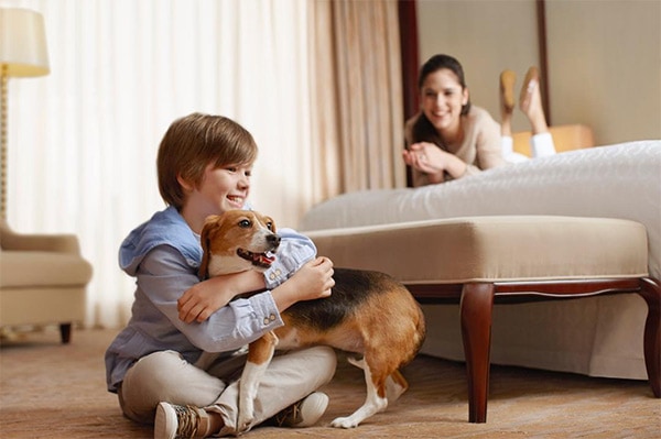 Dog and people at the Sheraton Redding Hotel