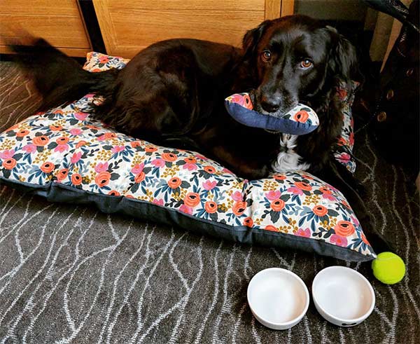 A vibrant dog park bathed in sunlight features abundant greenery with mature trees, offering ample shade for leisurely outdoor activities. In the distance is a well-equipped playground that presents an additional activity area. An inviting picnic table spreads out nearby, ideal for enjoying meals al fresco or taking relaxing breaks from play. A neatly-placed trash bin aids in maintaining the park's cleanliness for everyone's enjoyment. Dominating the scene is a generously wide dirt path gracefully curving through the expanse of grass, promising exploratory walks and lively fetch games.