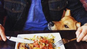 A vibrant dog park bathed in sunlight features abundant greenery with mature trees, offering ample shade for leisurely outdoor activities. In the distance is a well-equipped playground that presents an additional activity area. An inviting picnic table spreads out nearby, ideal for enjoying meals al fresco or taking relaxing breaks from play. A neatly-placed trash bin aids in maintaining the park's cleanliness for everyone's enjoyment. Dominating the scene is a generously wide dirt path gracefully curving through the expanse of grass, promising exploratory walks and lively fetch games.