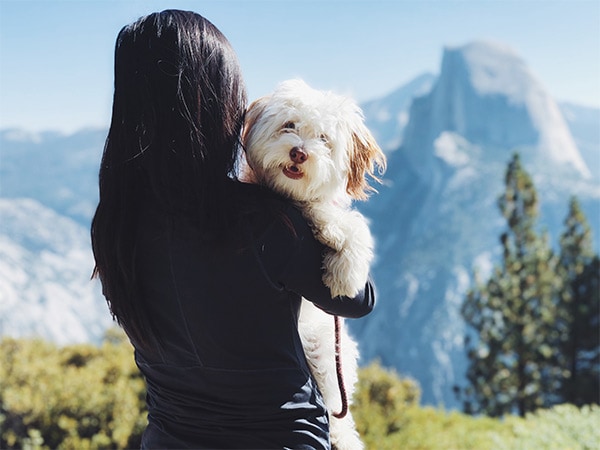 Little Jo in Yosemite