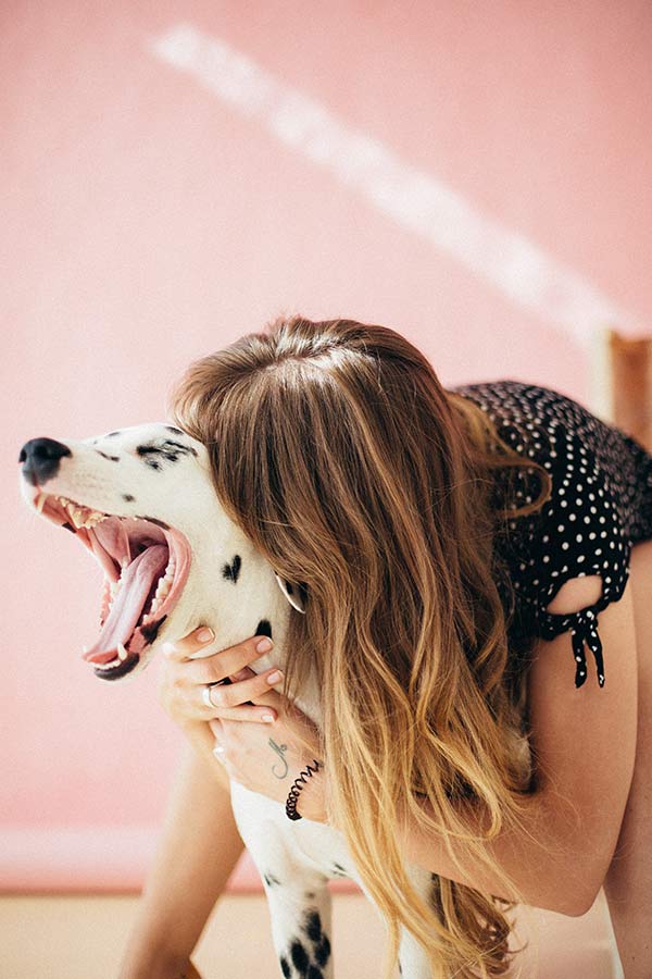 dog showing sings of stress