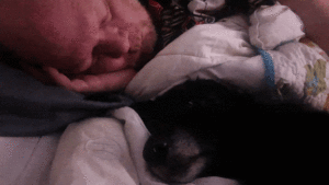 A vibrant dog park bathed in sunlight features abundant greenery with mature trees, offering ample shade for leisurely outdoor activities. In the distance is a well-equipped playground that presents an additional activity area. An inviting picnic table spreads out nearby, ideal for enjoying meals al fresco or taking relaxing breaks from play. A neatly-placed trash bin aids in maintaining the park's cleanliness for everyone's enjoyment. Dominating the scene is a generously wide dirt path gracefully curving through the expanse of grass, promising exploratory walks and lively fetch games.