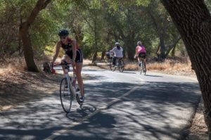 A vibrant dog park bathed in sunlight features abundant greenery with mature trees, offering ample shade for leisurely outdoor activities. In the distance is a well-equipped playground that presents an additional activity area. An inviting picnic table spreads out nearby, ideal for enjoying meals al fresco or taking relaxing breaks from play. A neatly-placed trash bin aids in maintaining the park's cleanliness for everyone's enjoyment. Dominating the scene is a generously wide dirt path gracefully curving through the expanse of grass, promising exploratory walks and lively fetch games.