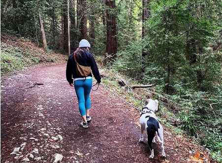 Dog and person hiking on a trail at Pogonip Open Space