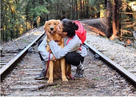 Dog posing on the track at Roarding Camp Railroad