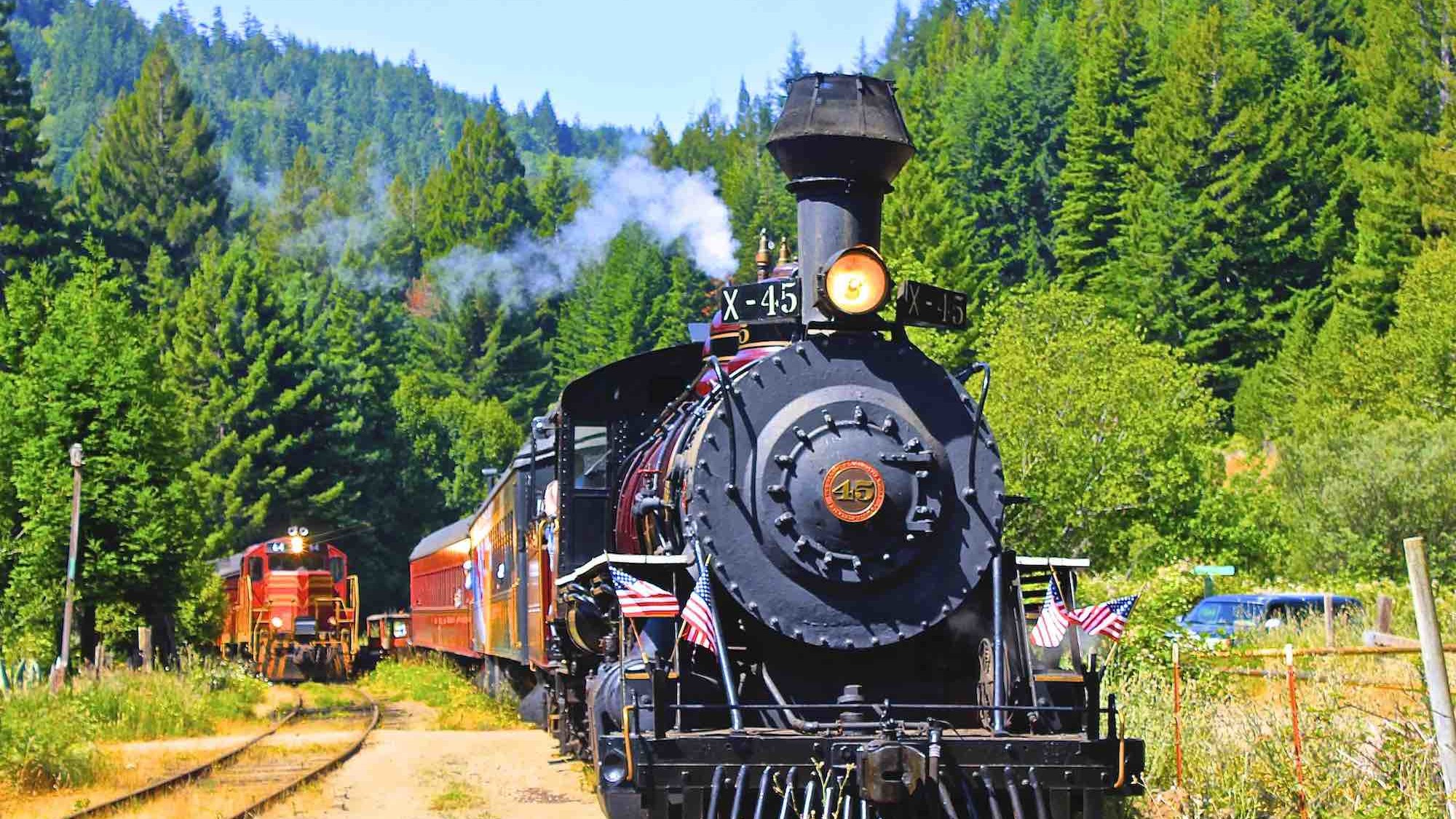 Skunk train