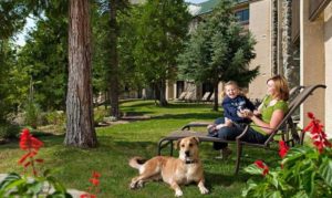 A vibrant dog park bathed in sunlight features abundant greenery with mature trees, offering ample shade for leisurely outdoor activities. In the distance is a well-equipped playground that presents an additional activity area. An inviting picnic table spreads out nearby, ideal for enjoying meals al fresco or taking relaxing breaks from play. A neatly-placed trash bin aids in maintaining the park's cleanliness for everyone's enjoyment. Dominating the scene is a generously wide dirt path gracefully curving through the expanse of grass, promising exploratory walks and lively fetch games.
