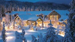 A vibrant dog park bathed in sunlight features abundant greenery with mature trees, offering ample shade for leisurely outdoor activities. In the distance is a well-equipped playground that presents an additional activity area. An inviting picnic table spreads out nearby, ideal for enjoying meals al fresco or taking relaxing breaks from play. A neatly-placed trash bin aids in maintaining the park's cleanliness for everyone's enjoyment. Dominating the scene is a generously wide dirt path gracefully curving through the expanse of grass, promising exploratory walks and lively fetch games.