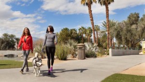 A vibrant dog park bathed in sunlight features abundant greenery with mature trees, offering ample shade for leisurely outdoor activities. In the distance is a well-equipped playground that presents an additional activity area. An inviting picnic table spreads out nearby, ideal for enjoying meals al fresco or taking relaxing breaks from play. A neatly-placed trash bin aids in maintaining the park's cleanliness for everyone's enjoyment. Dominating the scene is a generously wide dirt path gracefully curving through the expanse of grass, promising exploratory walks and lively fetch games.
