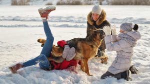 A vibrant dog park bathed in sunlight features abundant greenery with mature trees, offering ample shade for leisurely outdoor activities. In the distance is a well-equipped playground that presents an additional activity area. An inviting picnic table spreads out nearby, ideal for enjoying meals al fresco or taking relaxing breaks from play. A neatly-placed trash bin aids in maintaining the park's cleanliness for everyone's enjoyment. Dominating the scene is a generously wide dirt path gracefully curving through the expanse of grass, promising exploratory walks and lively fetch games.