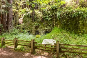 A vibrant dog park bathed in sunlight features abundant greenery with mature trees, offering ample shade for leisurely outdoor activities. In the distance is a well-equipped playground that presents an additional activity area. An inviting picnic table spreads out nearby, ideal for enjoying meals al fresco or taking relaxing breaks from play. A neatly-placed trash bin aids in maintaining the park's cleanliness for everyone's enjoyment. Dominating the scene is a generously wide dirt path gracefully curving through the expanse of grass, promising exploratory walks and lively fetch games.
