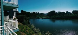 A vibrant dog park bathed in sunlight features abundant greenery with mature trees, offering ample shade for leisurely outdoor activities. In the distance is a well-equipped playground that presents an additional activity area. An inviting picnic table spreads out nearby, ideal for enjoying meals al fresco or taking relaxing breaks from play. A neatly-placed trash bin aids in maintaining the park's cleanliness for everyone's enjoyment. Dominating the scene is a generously wide dirt path gracefully curving through the expanse of grass, promising exploratory walks and lively fetch games.