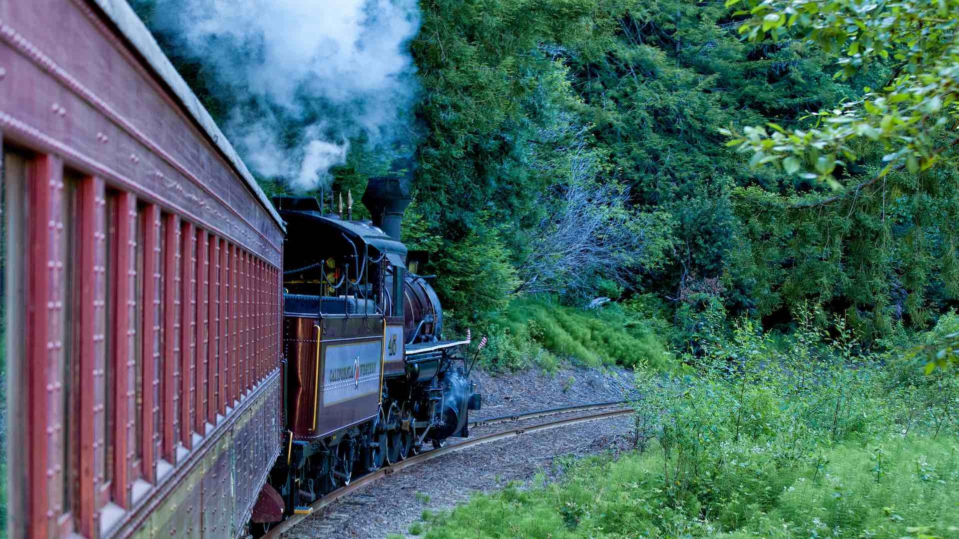 The Skunk Train