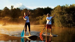 A vibrant dog park bathed in sunlight features abundant greenery with mature trees, offering ample shade for leisurely outdoor activities. In the distance is a well-equipped playground that presents an additional activity area. An inviting picnic table spreads out nearby, ideal for enjoying meals al fresco or taking relaxing breaks from play. A neatly-placed trash bin aids in maintaining the park's cleanliness for everyone's enjoyment. Dominating the scene is a generously wide dirt path gracefully curving through the expanse of grass, promising exploratory walks and lively fetch games.