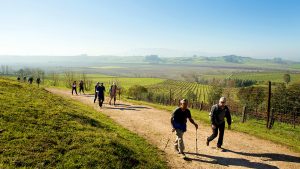 A vibrant dog park bathed in sunlight features abundant greenery with mature trees, offering ample shade for leisurely outdoor activities. In the distance is a well-equipped playground that presents an additional activity area. An inviting picnic table spreads out nearby, ideal for enjoying meals al fresco or taking relaxing breaks from play. A neatly-placed trash bin aids in maintaining the park's cleanliness for everyone's enjoyment. Dominating the scene is a generously wide dirt path gracefully curving through the expanse of grass, promising exploratory walks and lively fetch games.