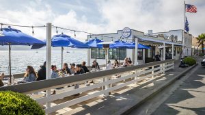 A vibrant dog park bathed in sunlight features abundant greenery with mature trees, offering ample shade for leisurely outdoor activities. In the distance is a well-equipped playground that presents an additional activity area. An inviting picnic table spreads out nearby, ideal for enjoying meals al fresco or taking relaxing breaks from play. A neatly-placed trash bin aids in maintaining the park's cleanliness for everyone's enjoyment. Dominating the scene is a generously wide dirt path gracefully curving through the expanse of grass, promising exploratory walks and lively fetch games.