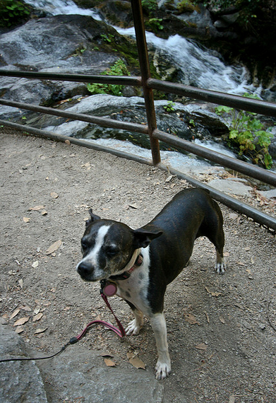 Whiskeytown Falls