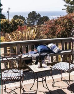 A vibrant dog park bathed in sunlight features abundant greenery with mature trees, offering ample shade for leisurely outdoor activities. In the distance is a well-equipped playground that presents an additional activity area. An inviting picnic table spreads out nearby, ideal for enjoying meals al fresco or taking relaxing breaks from play. A neatly-placed trash bin aids in maintaining the park's cleanliness for everyone's enjoyment. Dominating the scene is a generously wide dirt path gracefully curving through the expanse of grass, promising exploratory walks and lively fetch games.