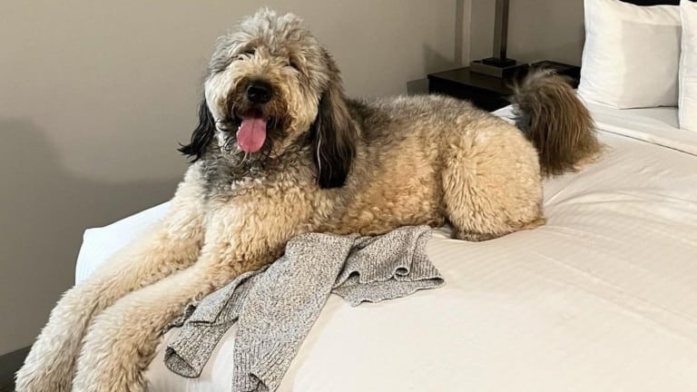 Americana Modern Hotel