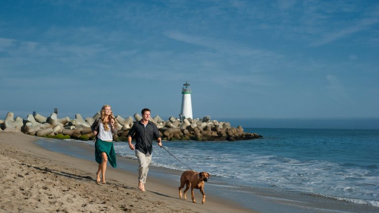Dog-friendly road trip: Highway 1 and Santa Cruz