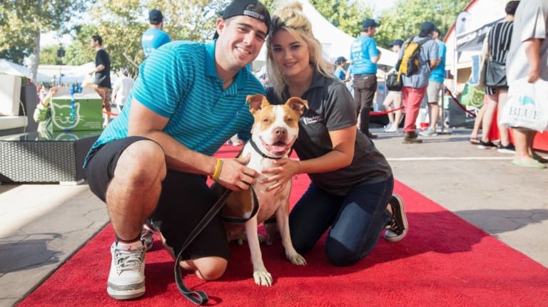 Pet Food Express Padadena