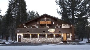 A vibrant dog park bathed in sunlight features abundant greenery with mature trees, offering ample shade for leisurely outdoor activities. In the distance is a well-equipped playground that presents an additional activity area. An inviting picnic table spreads out nearby, ideal for enjoying meals al fresco or taking relaxing breaks from play. A neatly-placed trash bin aids in maintaining the park's cleanliness for everyone's enjoyment. Dominating the scene is a generously wide dirt path gracefully curving through the expanse of grass, promising exploratory walks and lively fetch games.