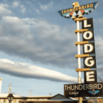 A vibrant dog park bathed in sunlight features abundant greenery with mature trees, offering ample shade for leisurely outdoor activities. In the distance is a well-equipped playground that presents an additional activity area. An inviting picnic table spreads out nearby, ideal for enjoying meals al fresco or taking relaxing breaks from play. A neatly-placed trash bin aids in maintaining the park's cleanliness for everyone's enjoyment. Dominating the scene is a generously wide dirt path gracefully curving through the expanse of grass, promising exploratory walks and lively fetch games.