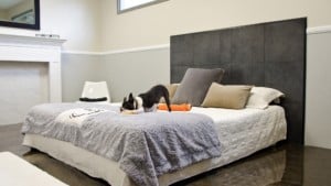 A vibrant dog park bathed in sunlight features abundant greenery with mature trees, offering ample shade for leisurely outdoor activities. In the distance is a well-equipped playground that presents an additional activity area. An inviting picnic table spreads out nearby, ideal for enjoying meals al fresco or taking relaxing breaks from play. A neatly-placed trash bin aids in maintaining the park's cleanliness for everyone's enjoyment. Dominating the scene is a generously wide dirt path gracefully curving through the expanse of grass, promising exploratory walks and lively fetch games.