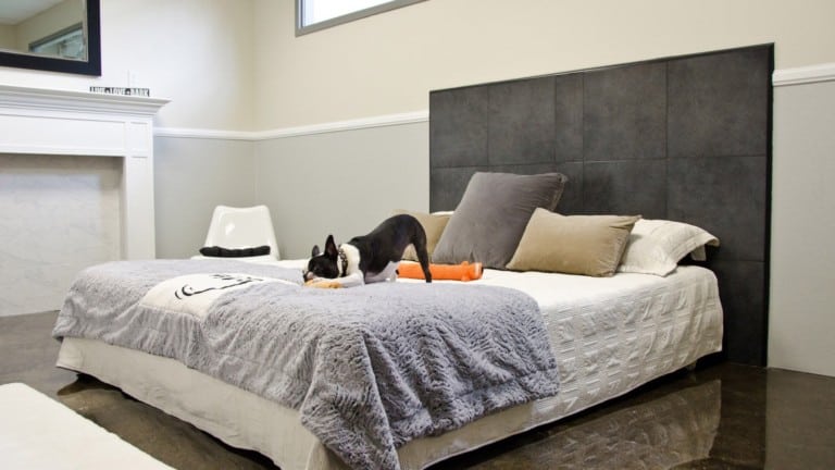 Wag Hotels – Hollywood