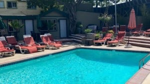 A vibrant dog park bathed in sunlight features abundant greenery with mature trees, offering ample shade for leisurely outdoor activities. In the distance is a well-equipped playground that presents an additional activity area. An inviting picnic table spreads out nearby, ideal for enjoying meals al fresco or taking relaxing breaks from play. A neatly-placed trash bin aids in maintaining the park's cleanliness for everyone's enjoyment. Dominating the scene is a generously wide dirt path gracefully curving through the expanse of grass, promising exploratory walks and lively fetch games.