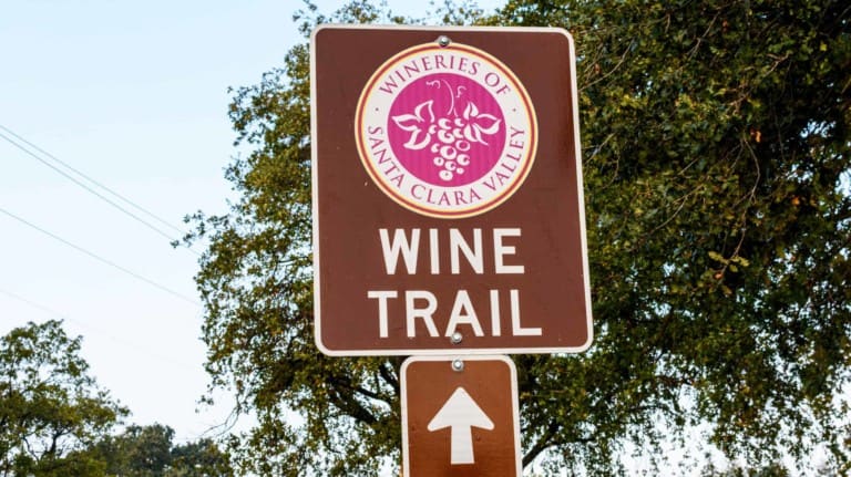 Santa Clara County’s pet-friendly wine trail