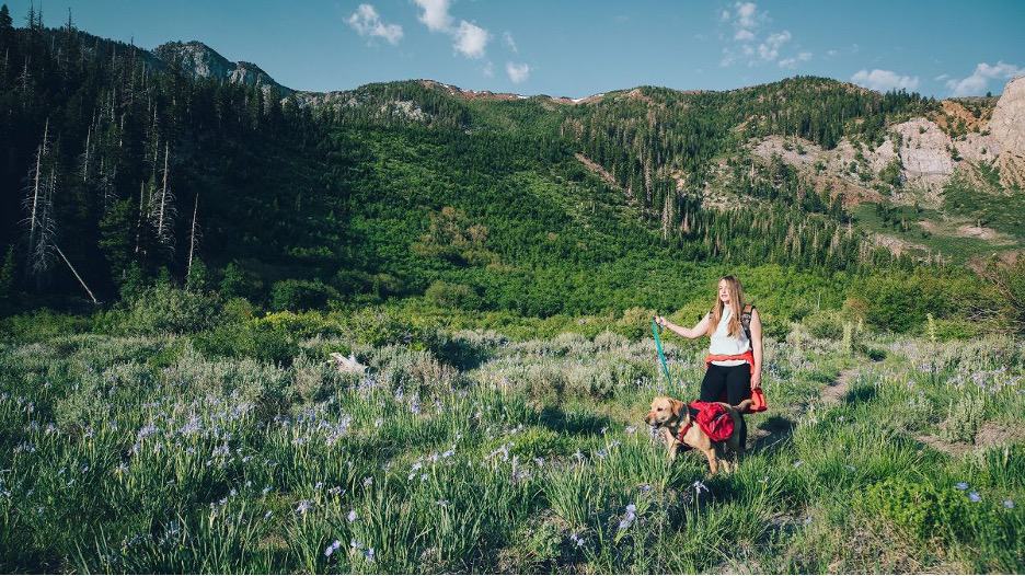 Dog on grass at Mammoth Lake