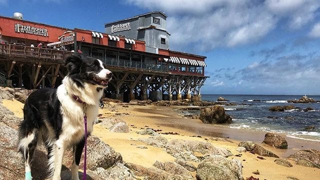 Photo by Visit Cannery Row.