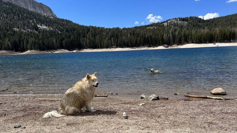Horseshoe Lake, Mammoth Lakes. Photo by Dave Kendrick.