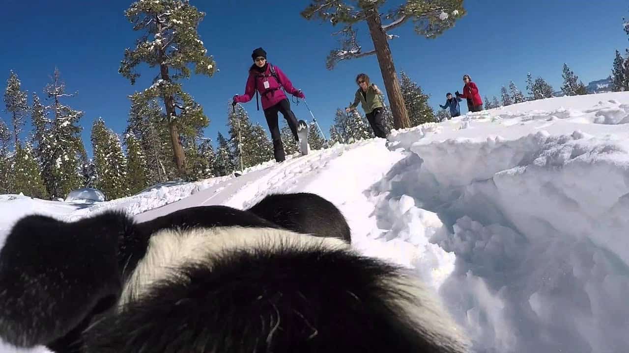 Skiiers at Jack's trail