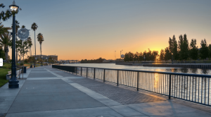 A vibrant dog park bathed in sunlight features abundant greenery with mature trees, offering ample shade for leisurely outdoor activities. In the distance is a well-equipped playground that presents an additional activity area. An inviting picnic table spreads out nearby, ideal for enjoying meals al fresco or taking relaxing breaks from play. A neatly-placed trash bin aids in maintaining the park's cleanliness for everyone's enjoyment. Dominating the scene is a generously wide dirt path gracefully curving through the expanse of grass, promising exploratory walks and lively fetch games.