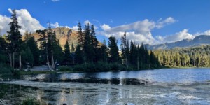 A vibrant dog park bathed in sunlight features abundant greenery with mature trees, offering ample shade for leisurely outdoor activities. In the distance is a well-equipped playground that presents an additional activity area. An inviting picnic table spreads out nearby, ideal for enjoying meals al fresco or taking relaxing breaks from play. A neatly-placed trash bin aids in maintaining the park's cleanliness for everyone's enjoyment. Dominating the scene is a generously wide dirt path gracefully curving through the expanse of grass, promising exploratory walks and lively fetch games.